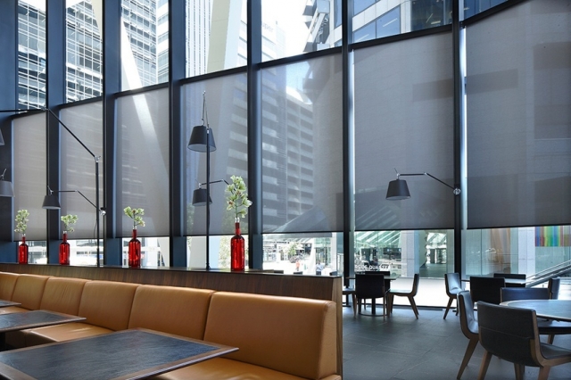 Motorized Windows Treatments